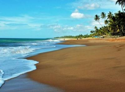 Туристические визы на Шри-Ланку подорожают с декабря