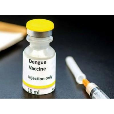 Японская вакцина против лихорадки денге получила одобрение ВОЗ