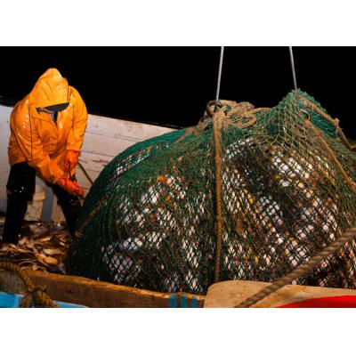 Россия и Япония согласовали квоты на промысел рыбы в 2023 году