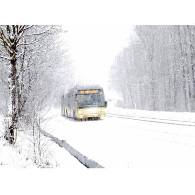 В Государственной думе предложили предоставить школьникам бесплатный проезд зимой