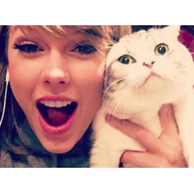 Состояние кошки Тейлор Свифт оценивается в $97 млн