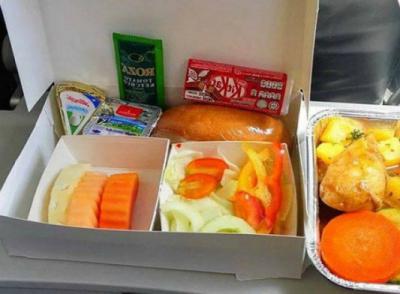 Пассажиров самолетов решено больше не кормить: крупная авиакомпания призвала не есть по «этическими соображениями»
