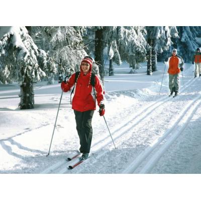 В столичных парках обучают катанию на лыжах