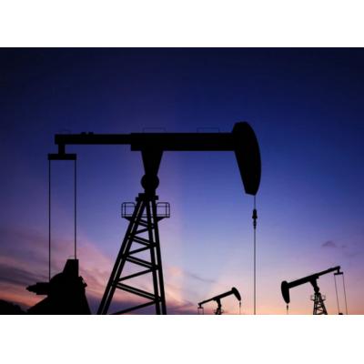 Индийские компании перешли при оплате нефти из РФ на эмиратские дирхамы