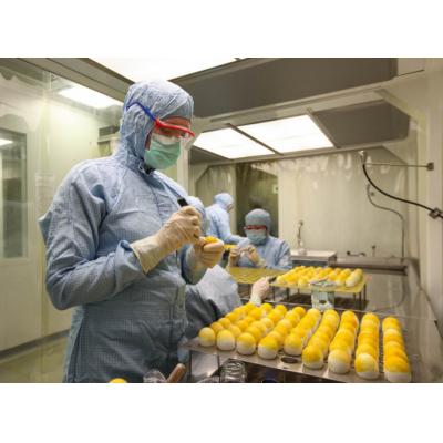 В России будут выпускать яйца по стандарту Clean Egg для производства вакцин
