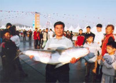 Рыбный фестиваль в Корее