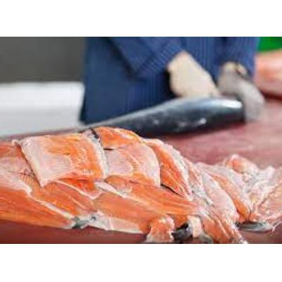 Новые предприятия по разведению красной рыбы откроют в Ленобласти