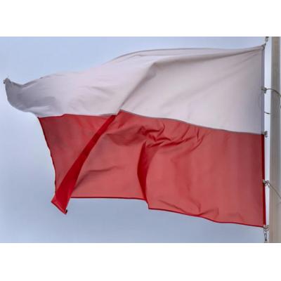 Польша предложила ЕС ввести запрет на импорт украинских продуктов вместе с зерном