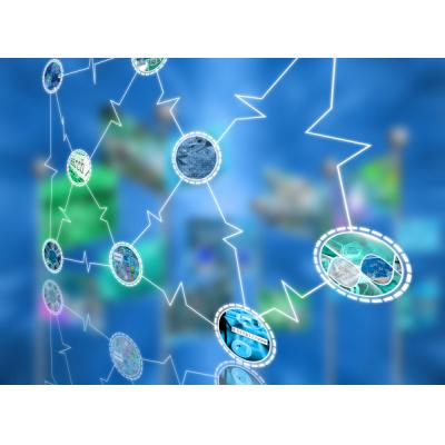 Почему руководство Китая планирует ужесточить надзор за NFT