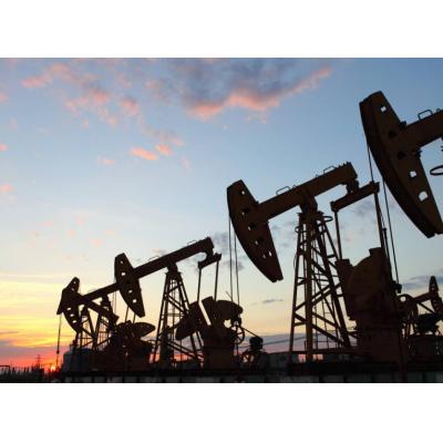 Страны ОПЕК+ договорились о корректировке добычи нефти в 2024 году