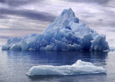 Новой Зеландии угрожает нашествие айсбергов