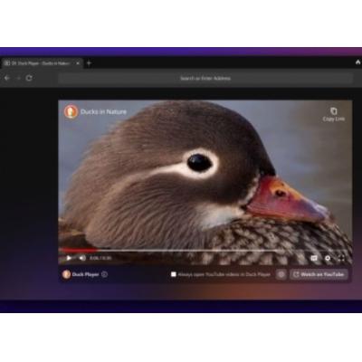 Браузер DuckDuckGo стал доступен для Windows