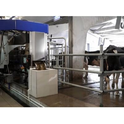 Развитие молочной индустрии Кубани: в учхозе «Краснодарское» открылась первая очередь Центра Молочных компетенцией