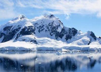 Антарктика стала `ноевым ковчегом` во время массового вымирания