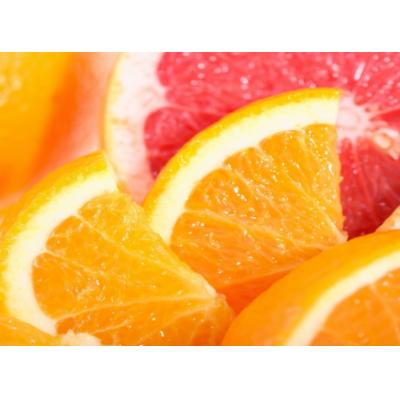 FESCO планирует начать доставку фруктов из Марокко в Россию с конца 2023 года
