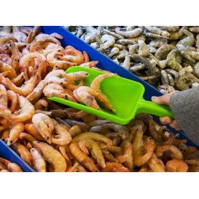 Роспотребнадзор усилил контроль за поставляемыми из Японии рыбой и морепродуктами
