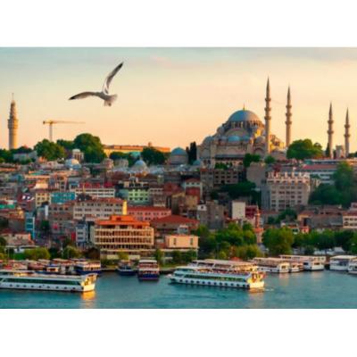 Турция, РФ и ООН могут обсудить "зерновую сделку" в Стамбуле