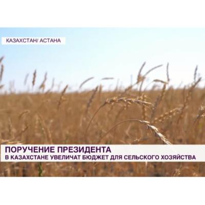 На развитие аграрного сектора Казахстана власти выделили более триллиона тенге