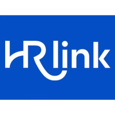 Выручка компании HRlink выросла в 2 раза по итогам 2023 года