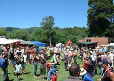 Экологичный музыкальный фестиваль в Новой Зеландии