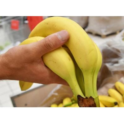 Россию ожидает дефицит бананов из Эквадора