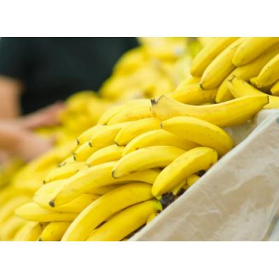 Индия отправила России первую партию бананов