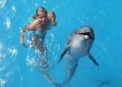 «Lonely Planet» рекомендует отправиться на прогулку с дельфинами