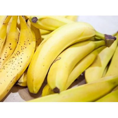 В Россию доставили первую партию бананов из Индии