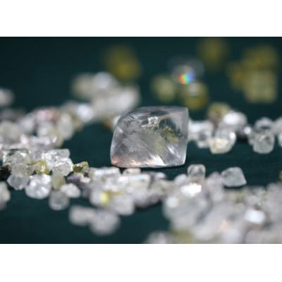 Бельгия возобновила импорт алмазов из РФ после перерыва в три месяца