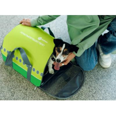 Услугой перевозки животных на соседнем кресле S7 Airlines воспользовались более 30 000 пассажиров
