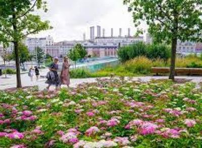 Улицы Москвы украсят более 56 миллионов цветов