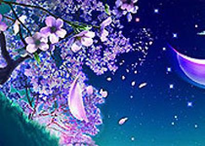 В Японии наступит праздник-фестиваль цветением сакуры