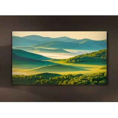 Новейшие телевизоры LG OLED evo B4 поступили в продажу в Китае