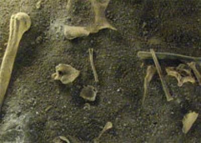 Ученые нашли на Алтае останки неизвестного ранее вида людей