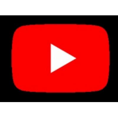 В Госдуме заявили о замедлении YouTube до 70 % к концу следующей недели