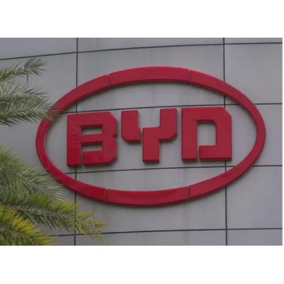 Китайский бренд BYD построит в Турции автозавод за миллиард долларов