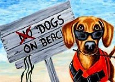 В Италии появились пляжи для собак