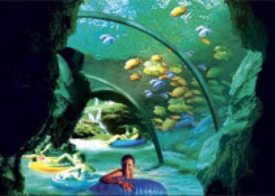 Теперь туристы Орландо смогут посещать парк SeaWorld ночью