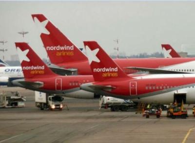 Nordwind разрешила перевозить питомца на соседнем месте