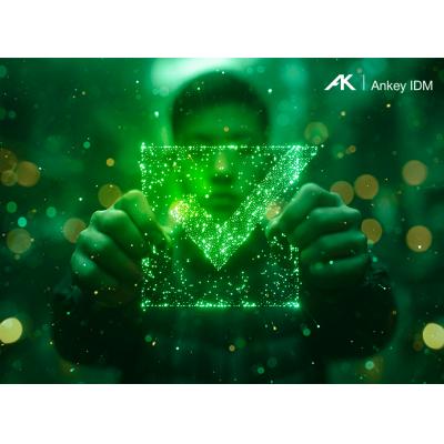 Квартальное обновление Ankey IDM: управляйте доступом — управляйте рисками