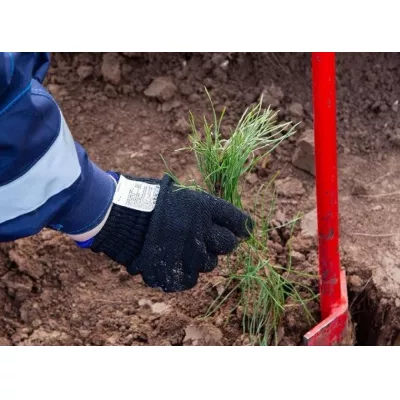 KAMA TYRES продолжает развивать экологические инициативы