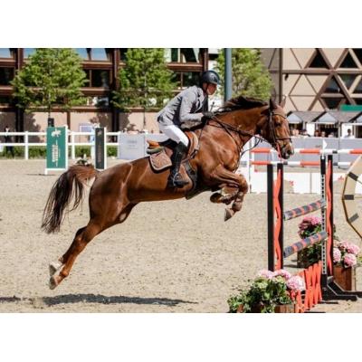 Международный турнир по конкуру клуба Emerald Stables номинирован на премию Horse Expert Awards — 2025