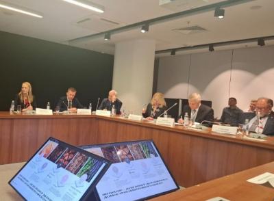 Индустриальное строительство из CLT способно стать драйвером развития Арктики