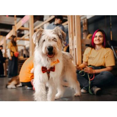 WOOF в Москве