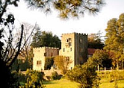Резиденцией диктатора Франко является испанский замок Меирас