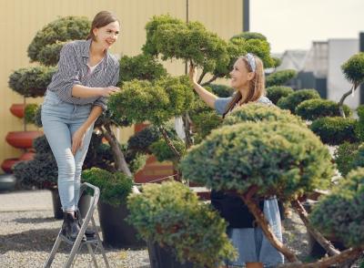 Озеленение стилобатов