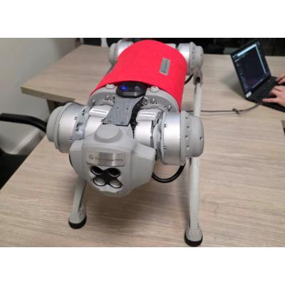 «Наносемантика» создала новую систему для голосового управления в робототехнике