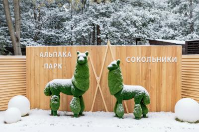 «Альпака Парк» в Сокольниках подготовил новогодние подарки для детей