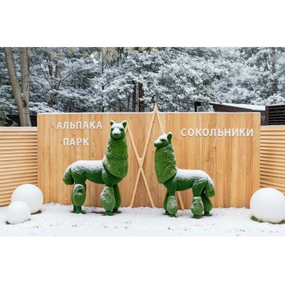 «Альпака Парк» в Сокольниках подготовил новогодние подарки для детей