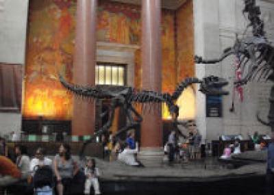 Выставка крупнейших динозавров в мире